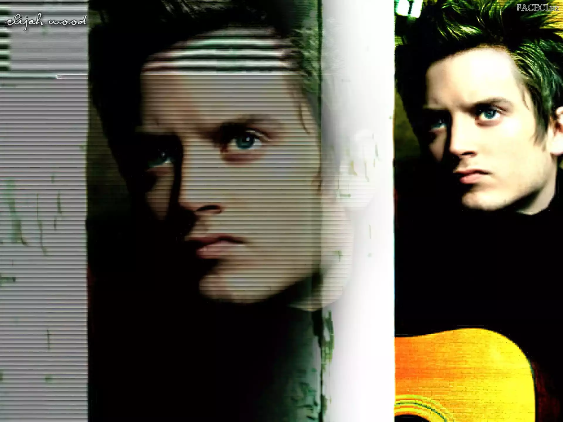 Elijah Wood, jasne włosy